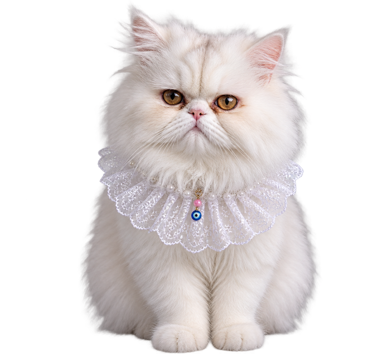 Maya, a white Persian cat